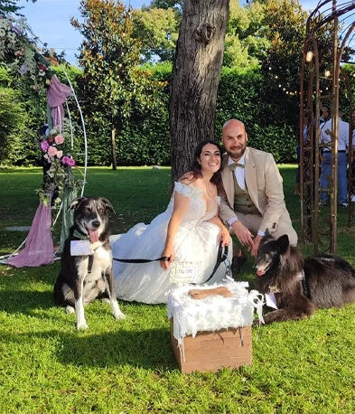 Wedding dog sitting Torino